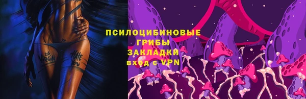 дурь Карпинск