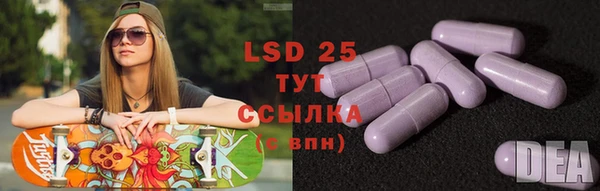дурь Карпинск
