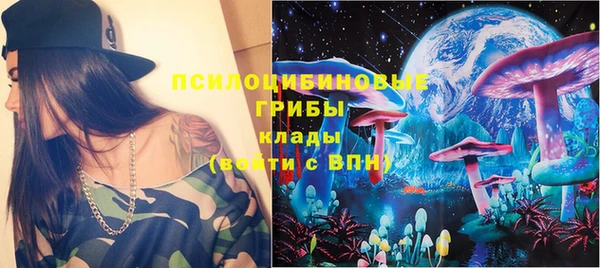 стаф Карталы