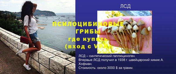 дурь Карпинск
