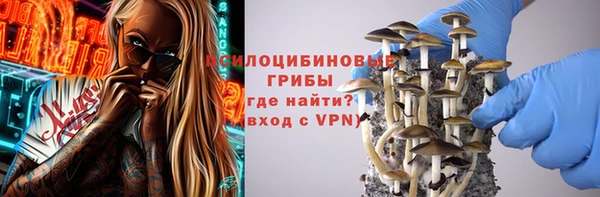 дурь Карпинск